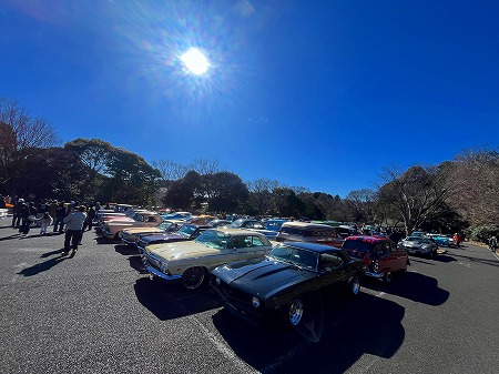 IMGteyewywt24y99899999898986_8211 (14)