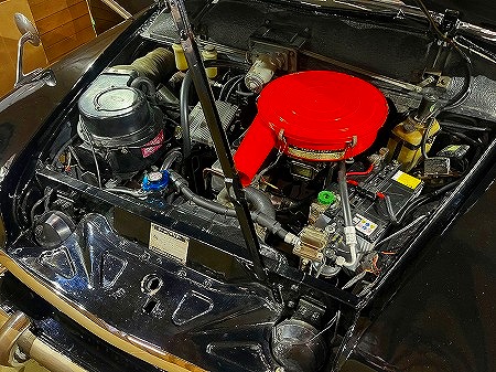 202408262565656589888 (3)