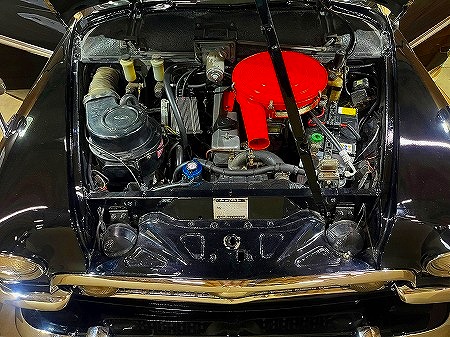 202408262565656589888 (1)