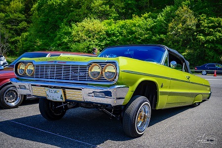 202いddw54wff@50429 (52)