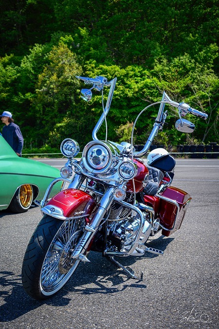 202いddw54wff@50429 (50)