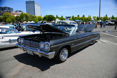 dfgrg5q9rg4qwrg9qwrg4qwreg (9)