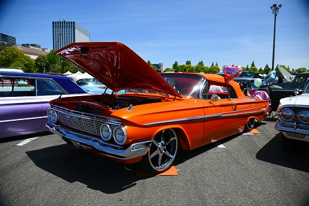 dfgrg5q9rg4qwrg9qwrg4qwreg (11)