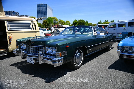 dfgrg5q9rg4qwrg9qwrg4qwreg (17)