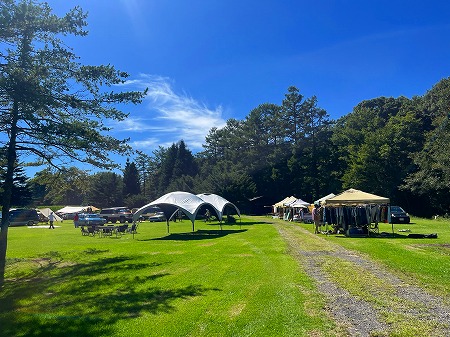 20250908655626265656556989898322122545454 (3)