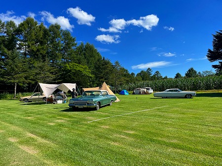 20250908655626265656556989898322122545454 (6)