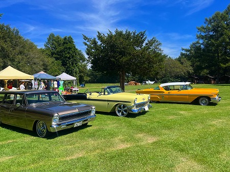 20250908655626265656556989898322122545454 (19)