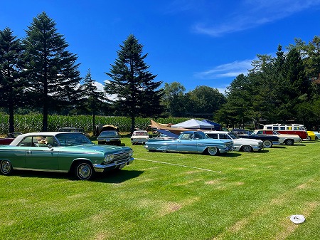 20250908655626265656556989898322122545454 (20)