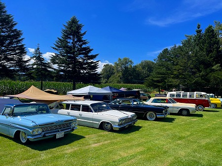 20250908655626265656556989898322122545454 (21)