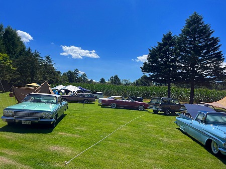 20250908655626265656556989898322122545454 (22)