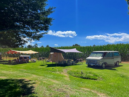 20250908655626265656556989898322122545454 (24)