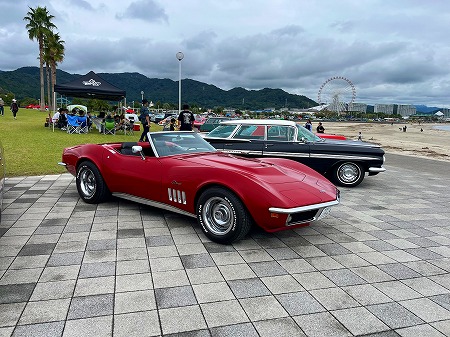 541D8F76-4B6C-4312-A59F-6E63F537CF431 (20)