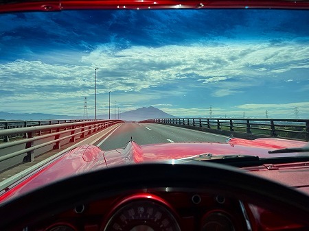 fhsjyr499jsryjpj (2)