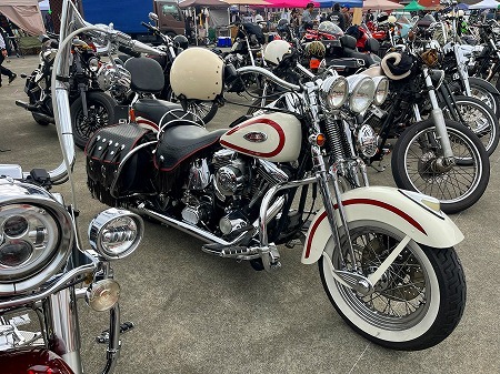 fhsjyr499jsryjpj (9)