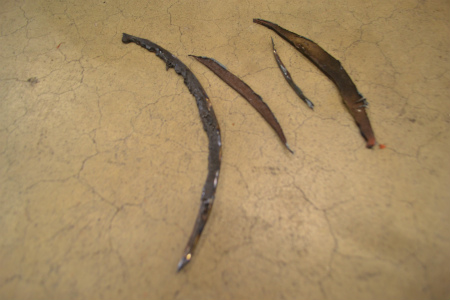 DSC_0035 - コピー