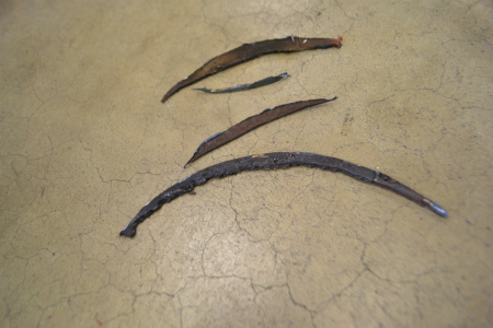 DSC_0036 - コピー