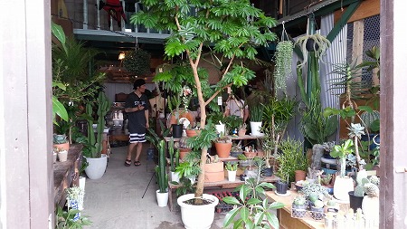 Screensphot_2017-07-03-08-54-35-1 (19)