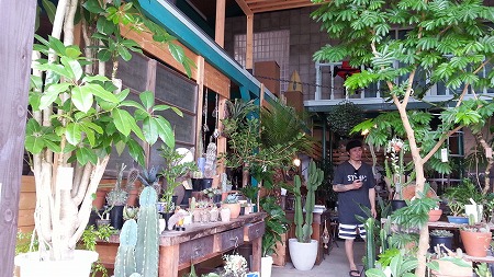 Screensphot_2017-07-03-08-54-35-1 (21)