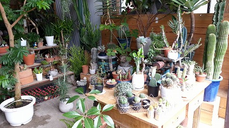 Screensphot_2017-07-03-08-54-35-1 (28)