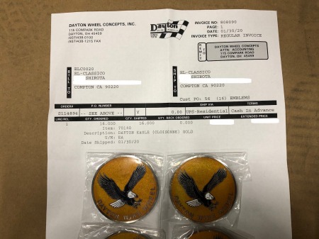 IMhjhihgftguG_3218 (1)