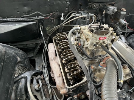 IMG_3rgrtq3tq3374 (19)