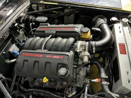 rgatwrtwrtwrtwrtwrtwr (4)