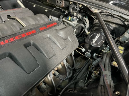 rgatwrtwrtwrtwrtwrtwr (6)