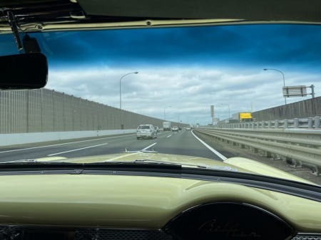 IfghdghgMG_0477jgfg (17)