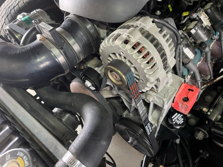 454665565665656IMG_6519 (7)