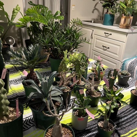 54F9290F-5B41-4EAD-9E1A-2EDE705D0654j (1)