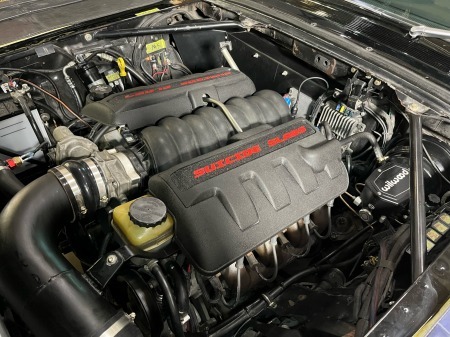 rgatwrtwrtwrtwrtwrtwr (5)