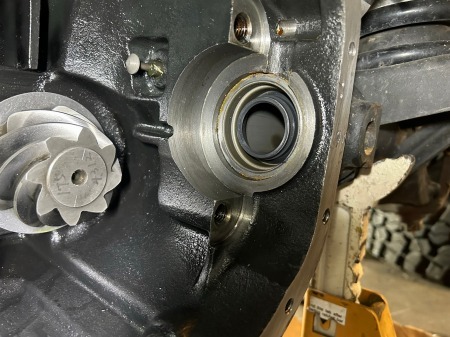 fhjkjktuyidruursy78 (23)