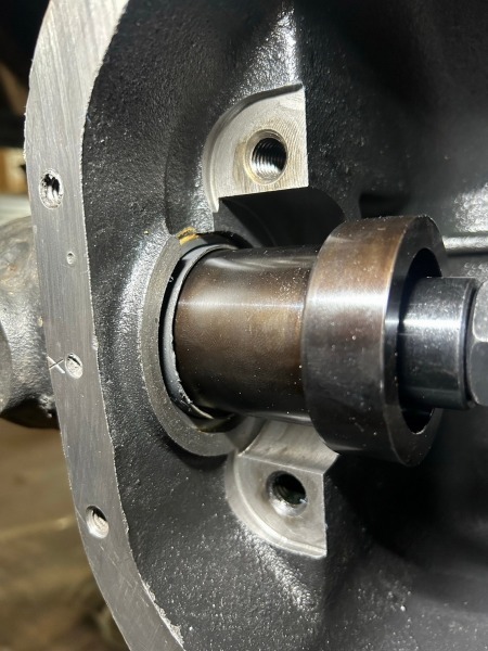 fhjkjktuyidruursy78 (28)