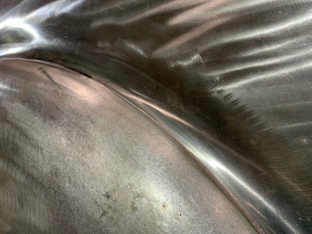 あ1っいぇt16てうて546 (11)