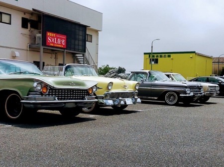 fglrgkgpwkpkjpjorgj5555rrw (62)