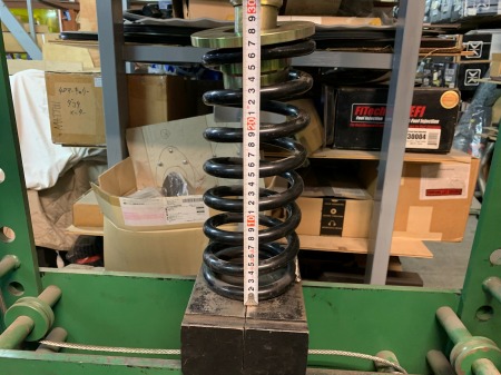 pophgyfyioplkjhgyyuiuo (14)