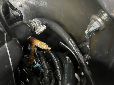 tuietyet7e4yuryir (32)