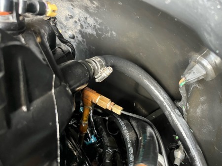 tuietyet7e4yuryir (33)