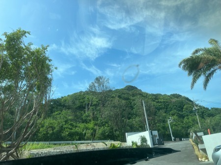 tuietyet7e4yuryir (28)