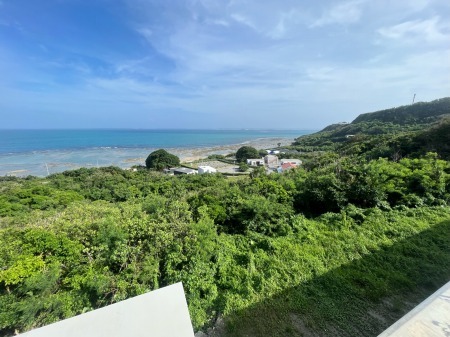 tuietyet7e4yuryir (31)