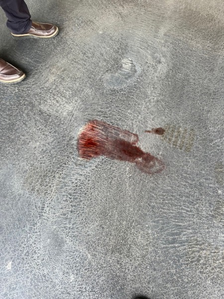 tuietyet7e4yuryir (42)