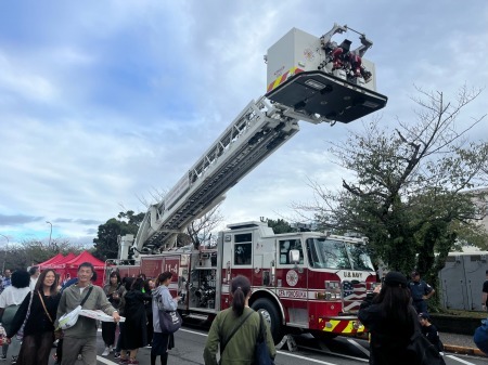 dfsf65sfwf、;wlff (16)