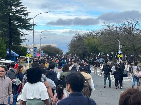 dfsf65sfwf、;wlff (17)