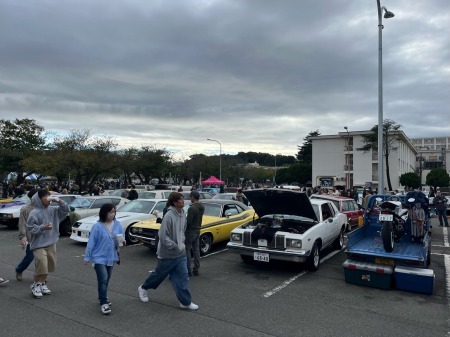 dfsf65sfwf、;wlff (21)