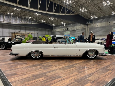 hufdyguuii7454544456565656 (1)