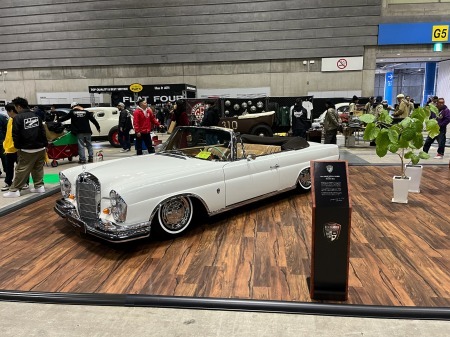 hufdyguuii7454544456565656 (5)