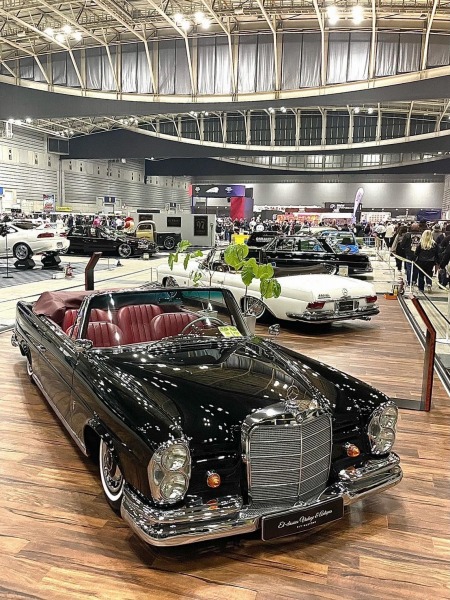 utiotyiotyioryi (1s) (2)