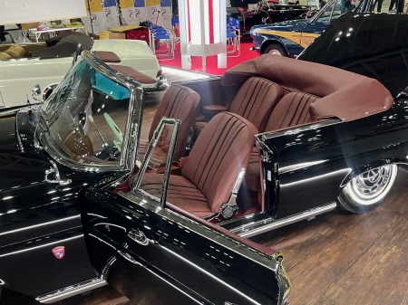 fhjsgdjrjhryjrwy (5)