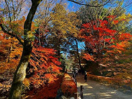 202412いおdsれ10 (6)