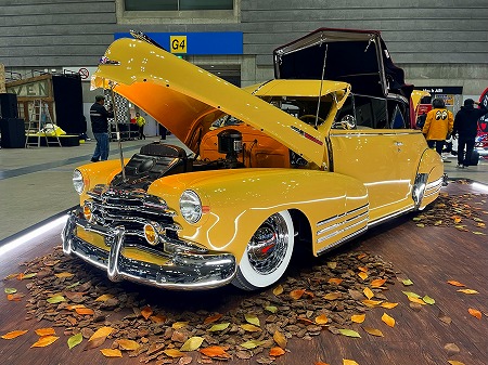 20241sdくぉf210 (8)777